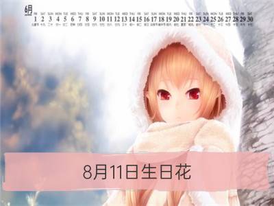 8月11日生日花：翠菊，生日花语贞操_11月13日生日花语：香甜花，生日花语香甜