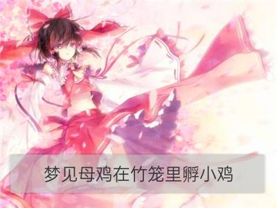 梦见母鸡在竹笼里孵小鸡_梦见已婚梦见母鸡孵小鸡