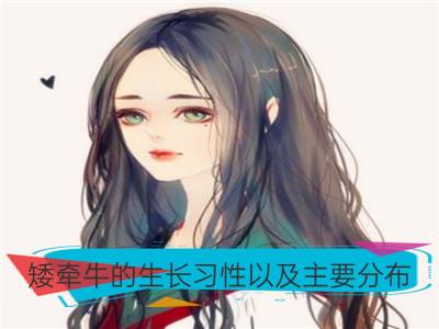 矮牵牛的生长习性以及主要分布_牵牛花和矮牵牛有哪些区别