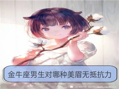 金牛座男生对哪种美眉无抵抗力_天秤座男生对哪种美眉无抵抗力